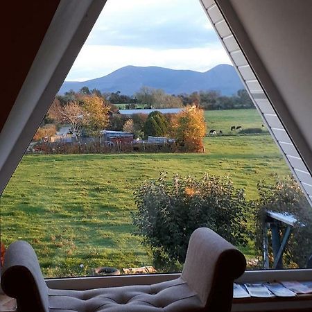 Annaswood B&B Cahir Exteriör bild