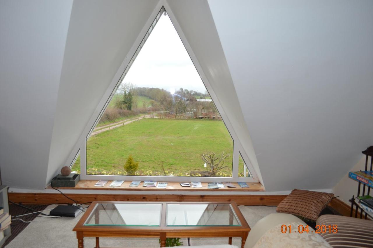 Annaswood B&B Cahir Exteriör bild