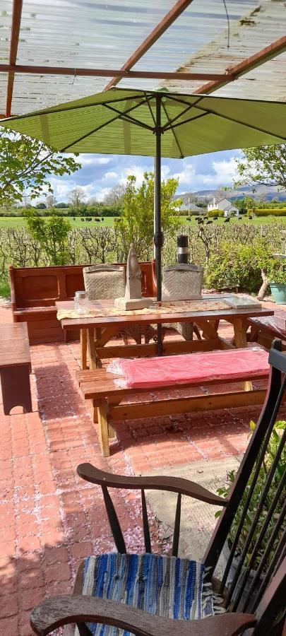 Annaswood B&B Cahir Exteriör bild