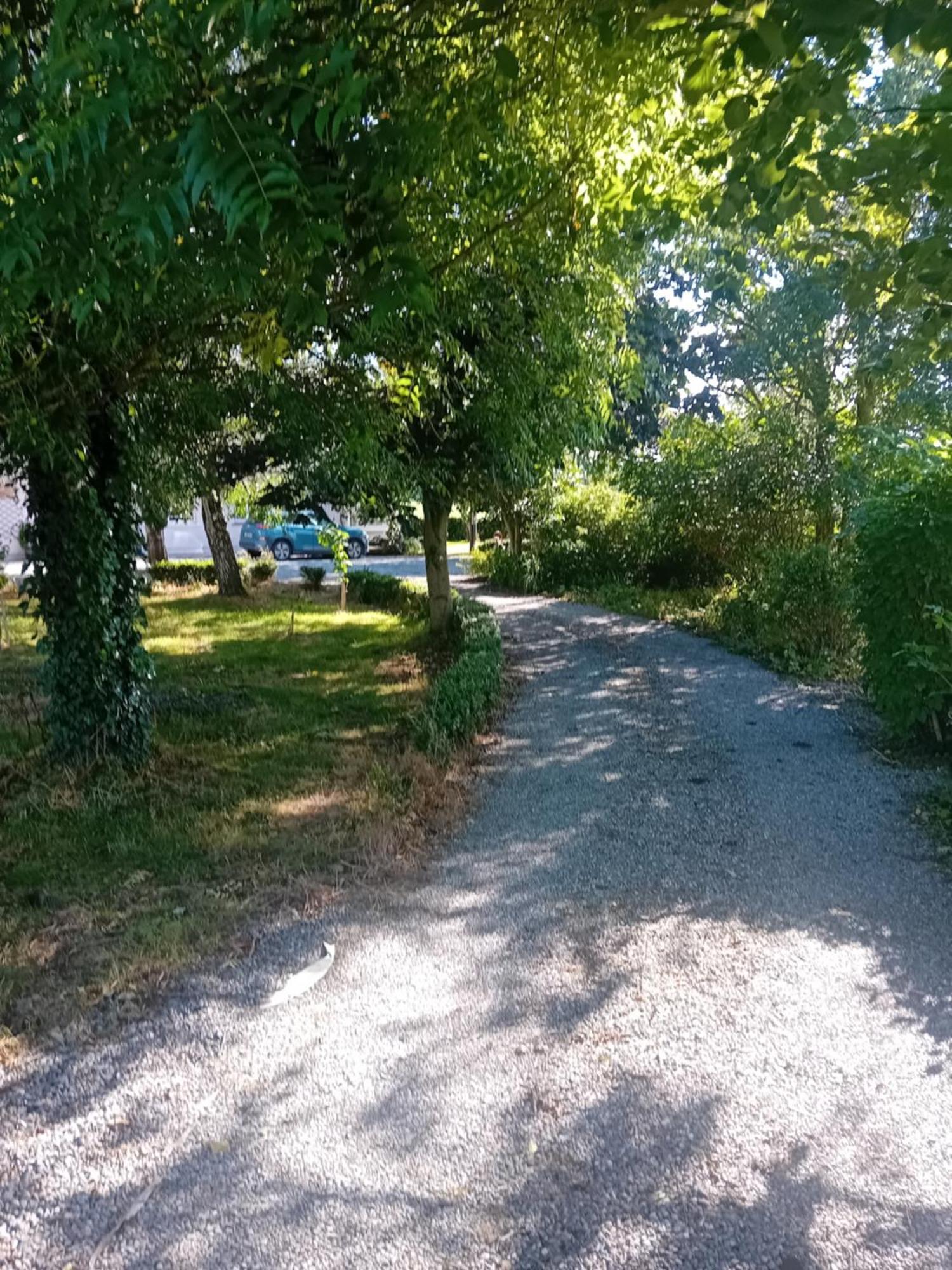 Annaswood B&B Cahir Exteriör bild