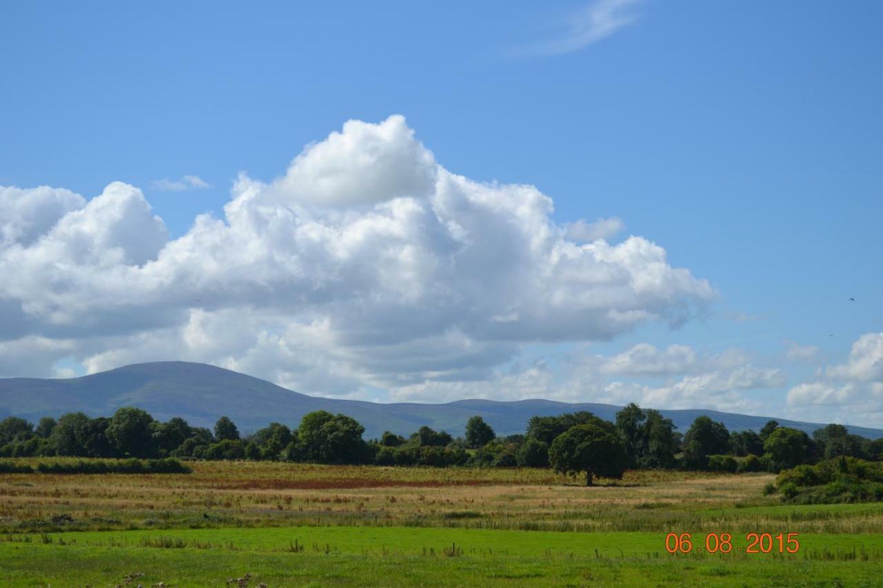 Annaswood B&B Cahir Exteriör bild