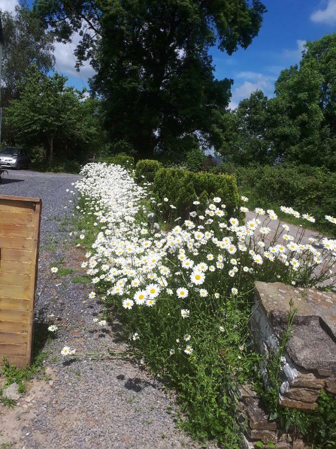 Annaswood B&B Cahir Exteriör bild