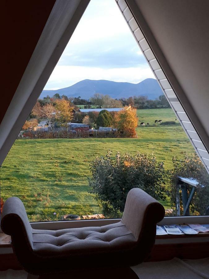 Annaswood B&B Cahir Exteriör bild